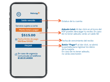 App Naturgy